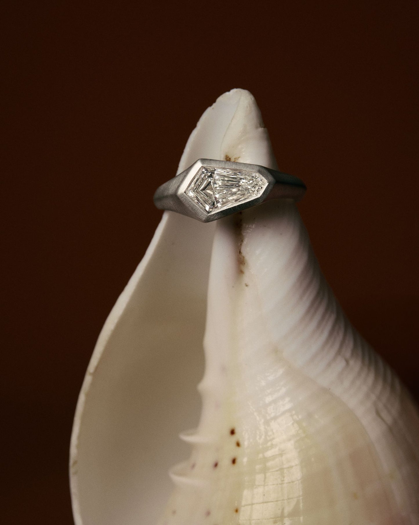 Ezra Shield Diamond Signet Ring