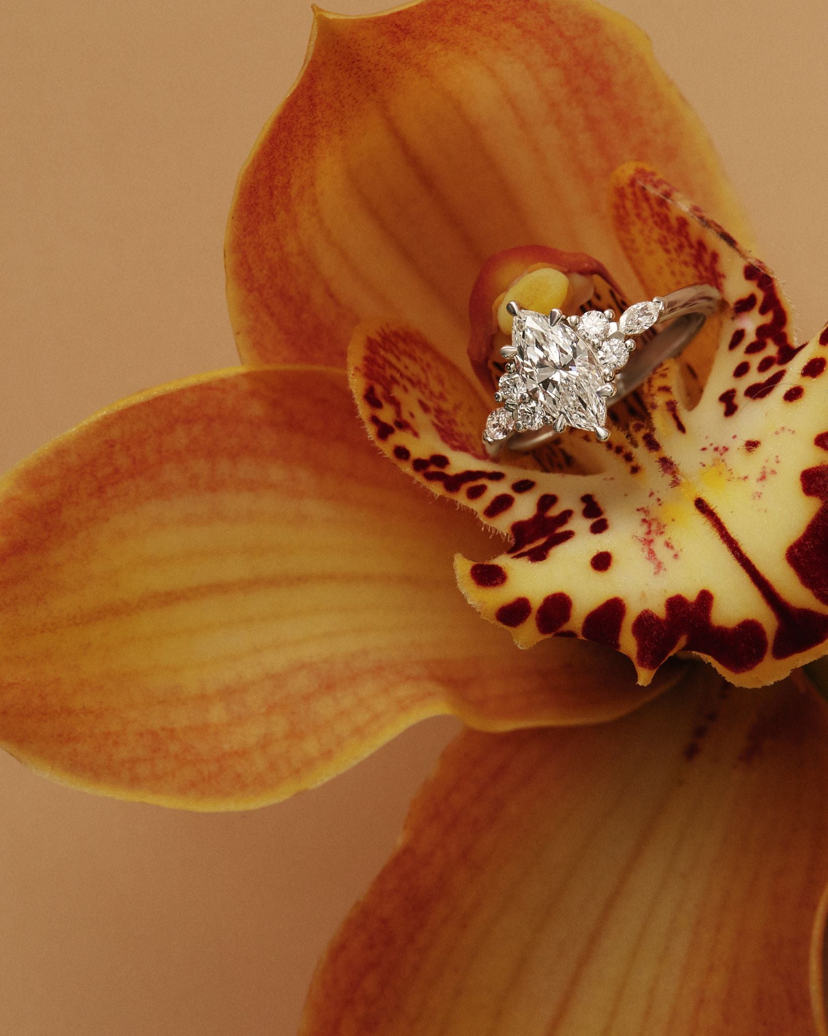 Vivienne Marquise Diamond Cluster Engagement Ring