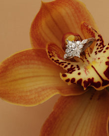 Vivienne Marquise Diamond Cluster Engagement Ring